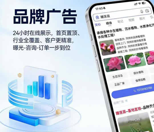 百度品牌廣告